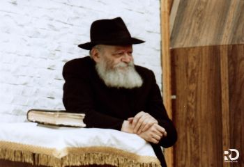 מאמינים ומחכים!